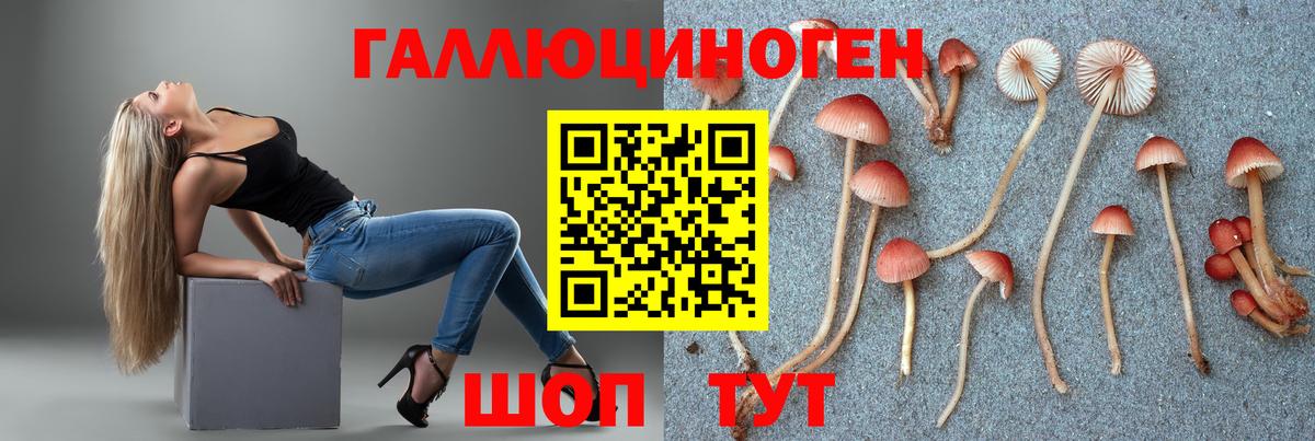 Галлюциногенные грибы мухоморы  Галлюциногенные грибы мицелий  сколько стоит  Похвистнево  Вход с VPN 