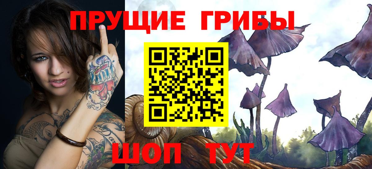 Псилоцибиновые грибы ЛСД Похвистнево